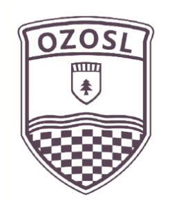 Ozosl Tech